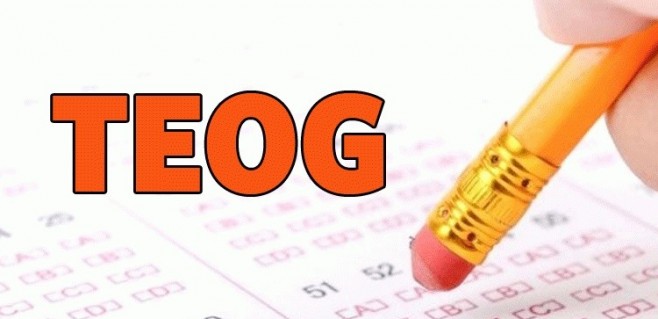 2017 TEOG sınav sonuçları ne zaman açıklanacak?