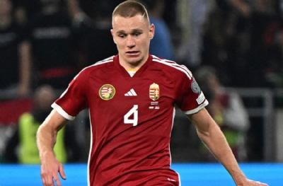 Bundesliga yaramadı! Szalai yere çakıldı