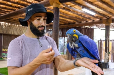 AS, Nabil Fekir'i Galatasaray'a yazdı! Yeni kronik sakatımız hayırlı olsun