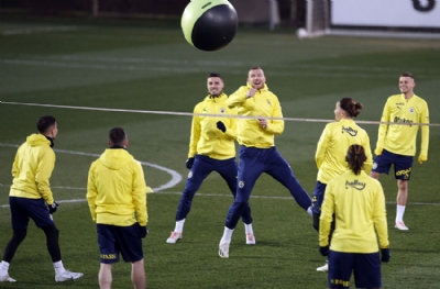 Fenerbahçe, Başakşehir maçına hazır