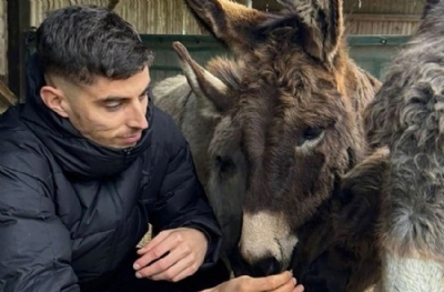Eşeklere fısıldayan Arsenalli yıldız! Lakabı bile 'eşek' 