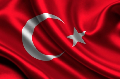 Sırbistan - Türkiye maç sonucu: 30-22