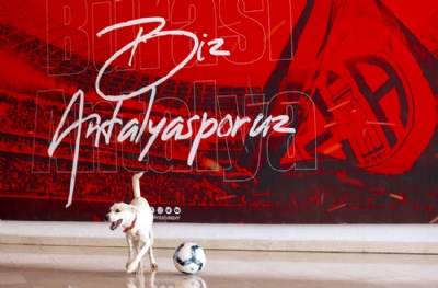 Antalyaspor'un yeni 'Akrep'i