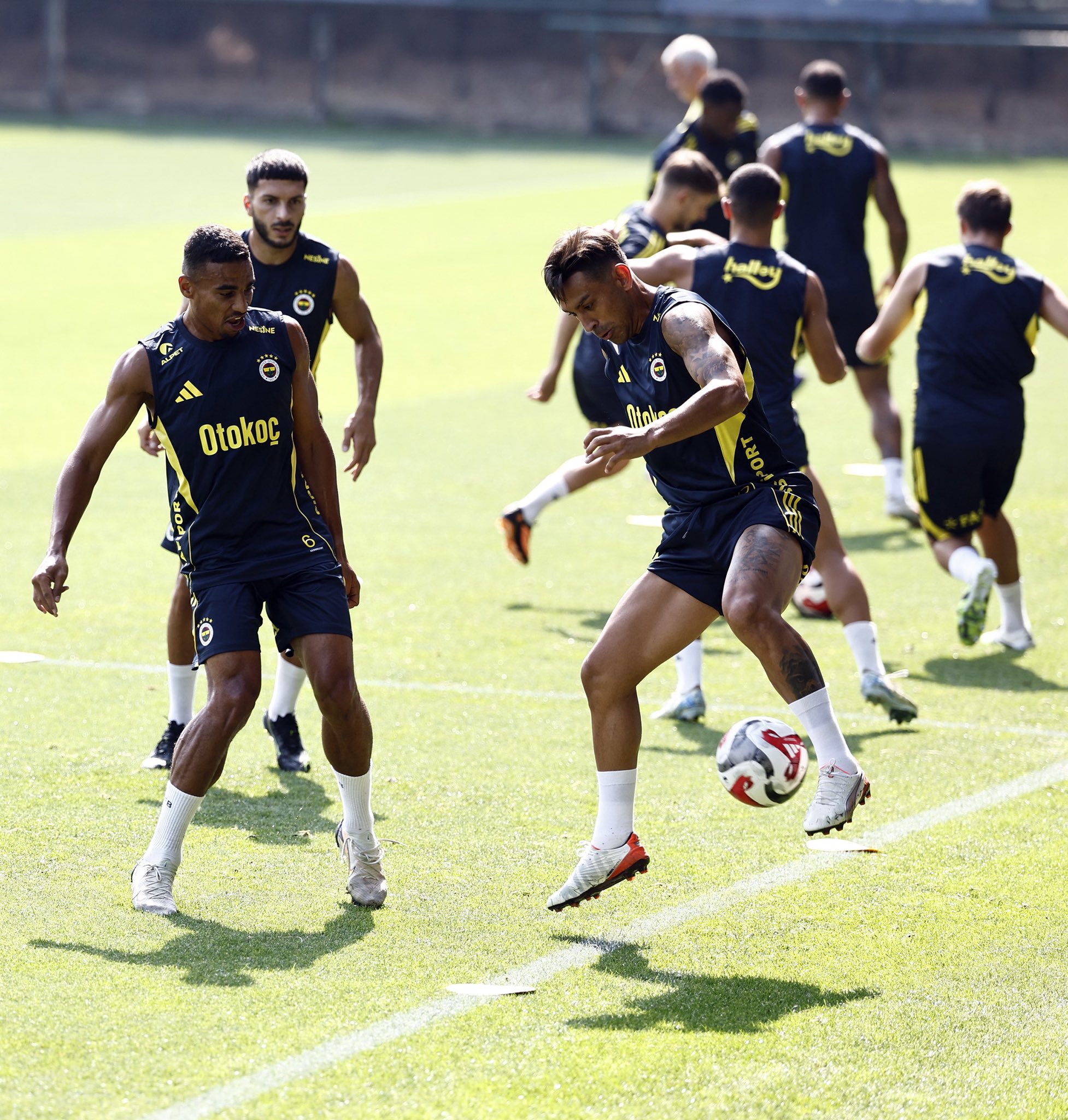 Fenerbahce