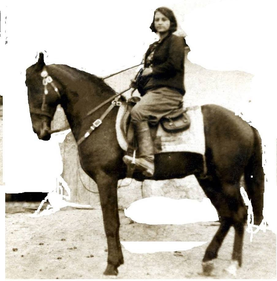 tevfik yener'in annesi