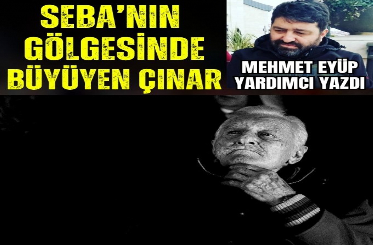 Seba'nın Gölgesinde Büyüyen Çınar
