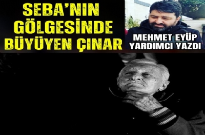 Seba'nın Gölgesinde Büyüyen Çınar