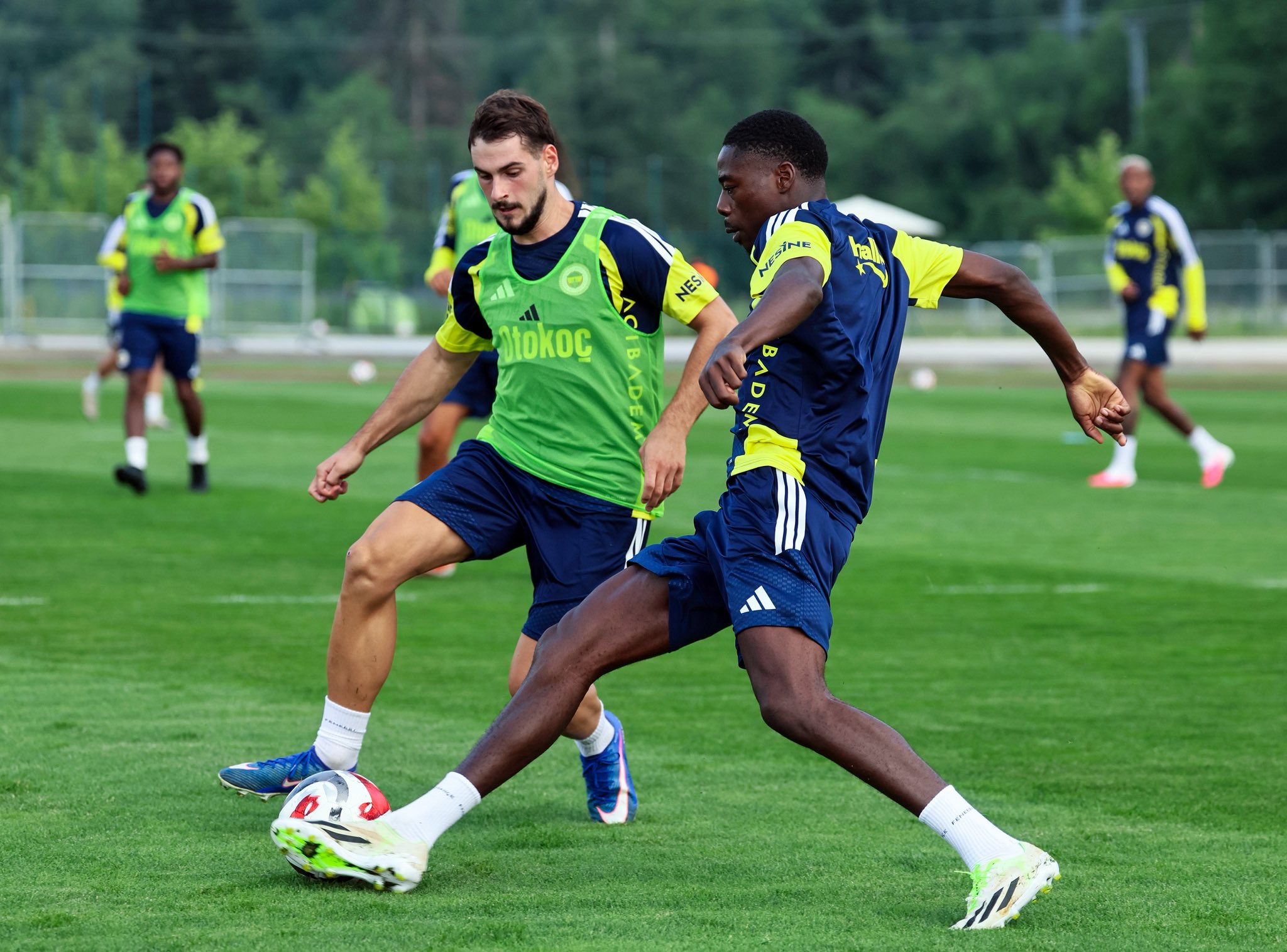 Fenerbahce