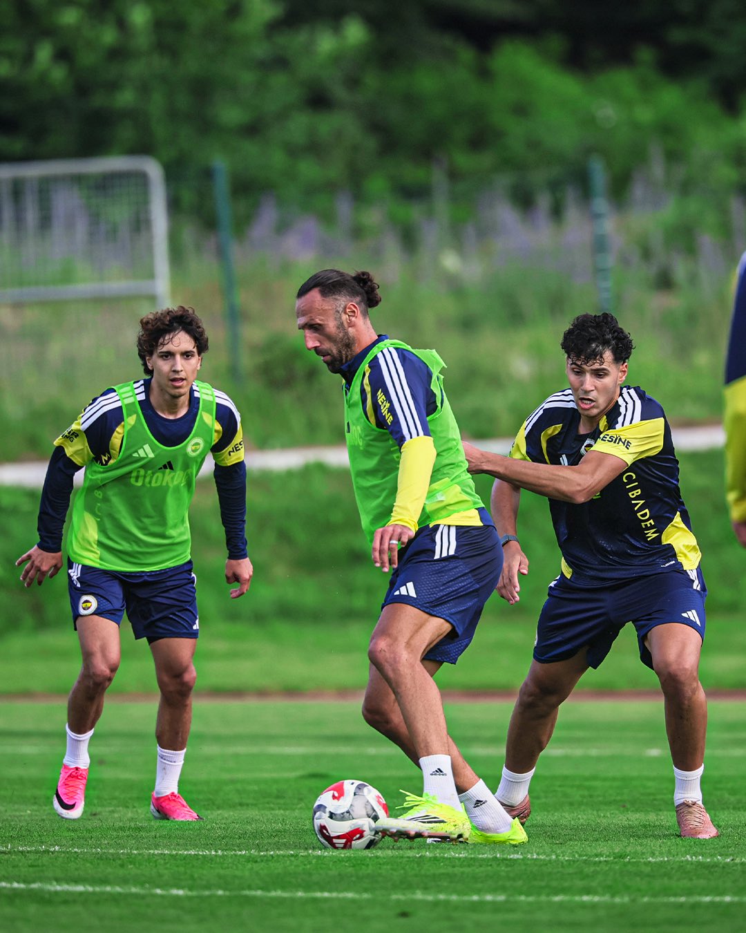 Fenerbahce