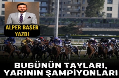 Bugünün Tayları, Yarının Şampiyonları