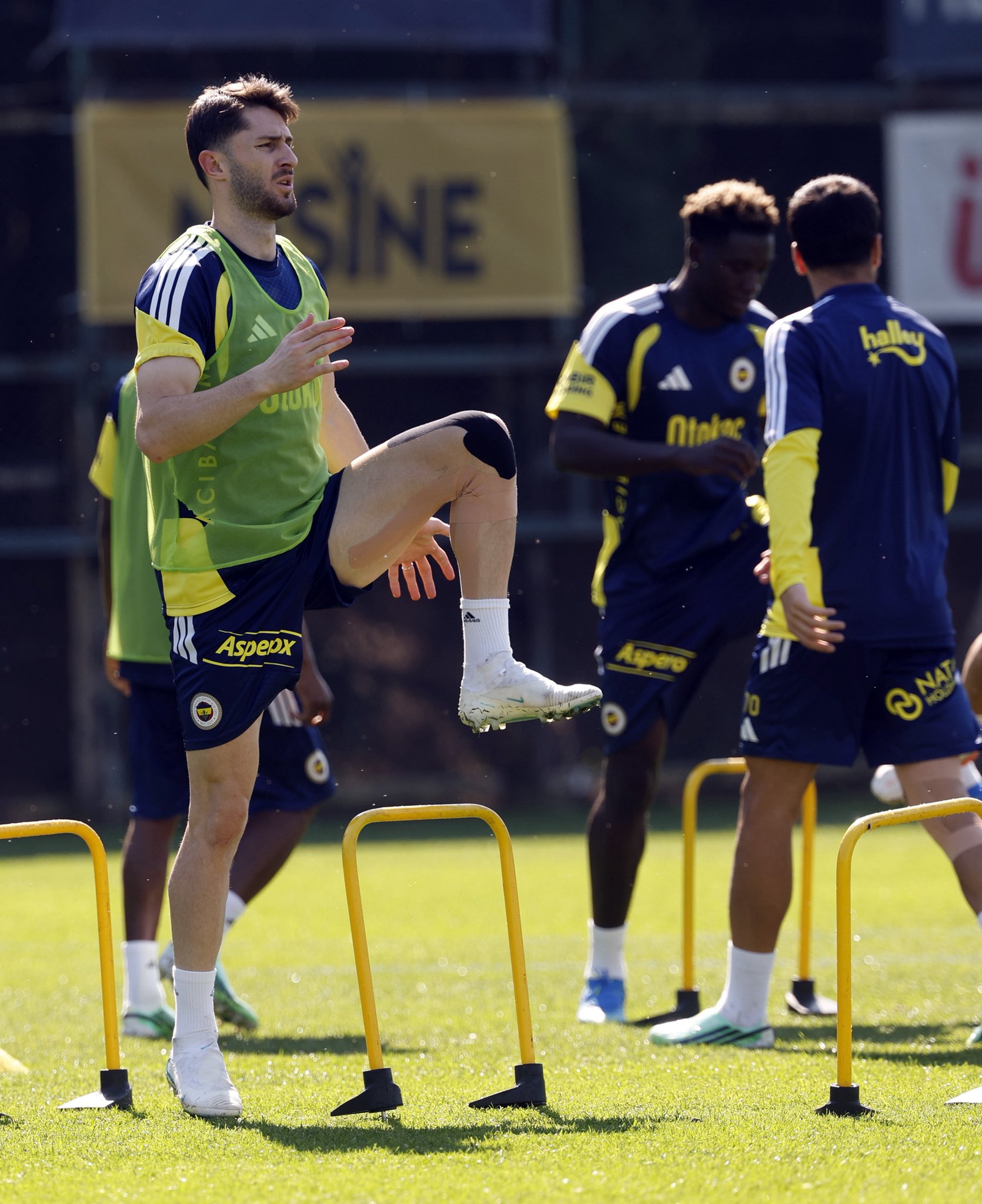 fenerbahçe