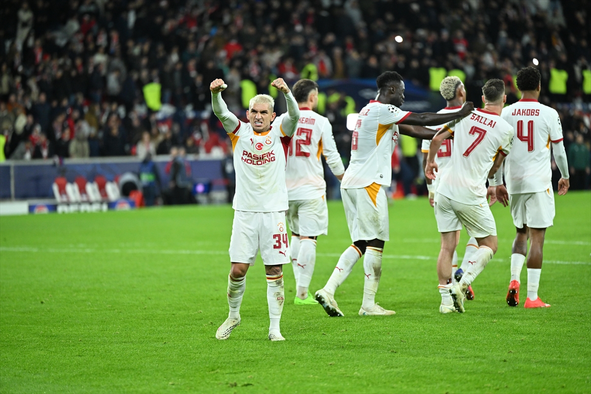 Torreira